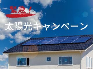 【大感謝祭!!】太陽光キャンペーン